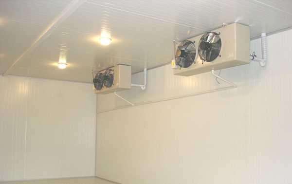 冷庫是否可以起到殺菌消毒的作用?