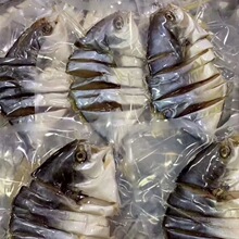 咸魚-咸魚批發、促銷價格、產地貨源 