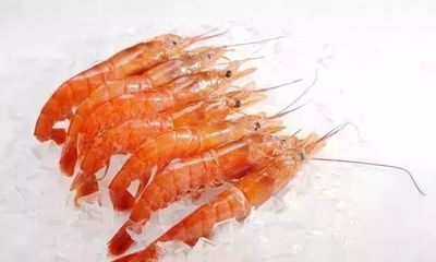 海鮮界的“無名英雄” 這些你常吃的美味，你真的認識它們嗎？
